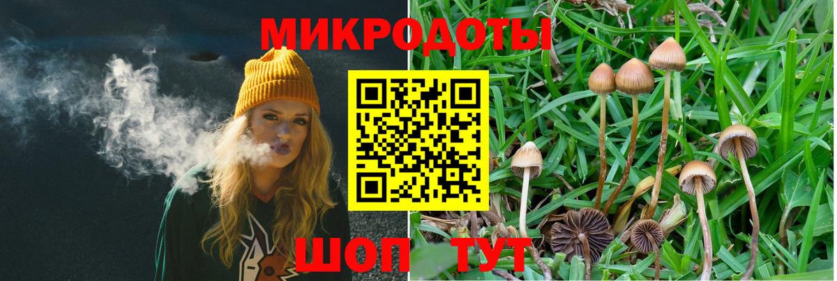 Псилоцибиновые грибы GOLDEN TEACHER  Вход с VPN  продажа наркотиков  Вышний Волочёк 